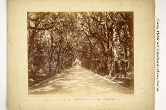 © Michael C. Carlos Museum, Emory University