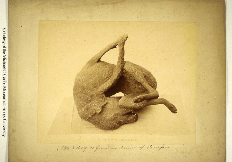 © Michael C. Carlos Museum, Emory University