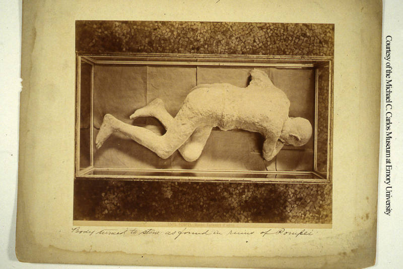 © Michael C. Carlos Museum, Emory University