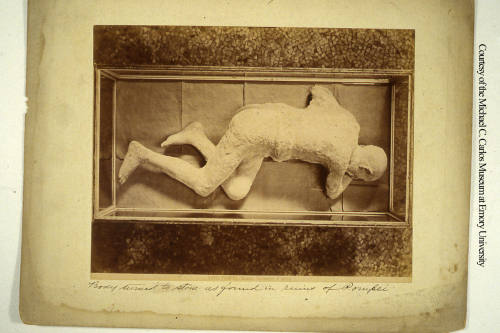 © Michael C. Carlos Museum, Emory University