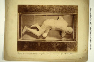 © Michael C. Carlos Museum, Emory University