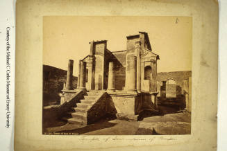 © Michael C. Carlos Museum, Emory University