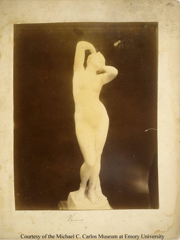 © Michael C. Carlos Museum, Emory University