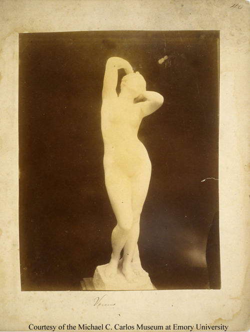 © Michael C. Carlos Museum, Emory University