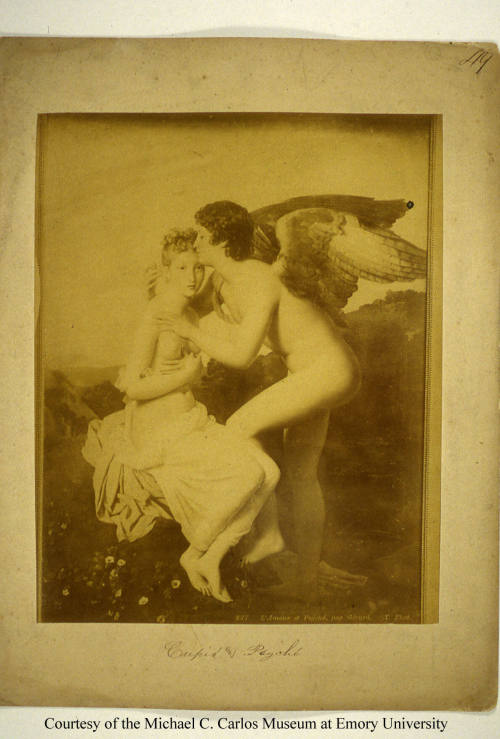 © Michael C. Carlos Museum, Emory University