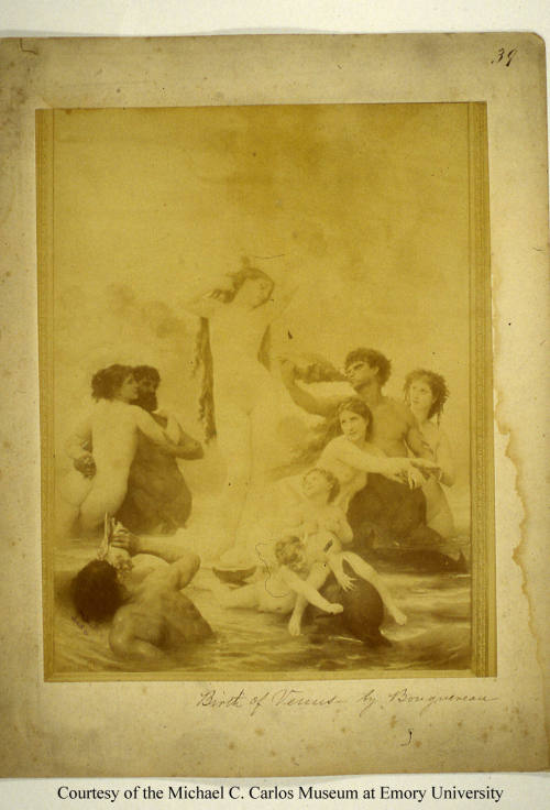 © Michael C. Carlos Museum, Emory University