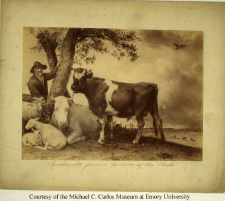 © Michael C. Carlos Museum, Emory University