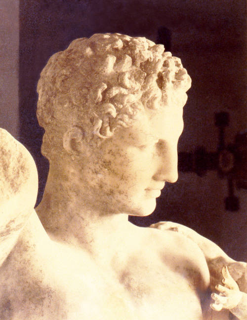 © Michael C. Carlos Museum, Emory University