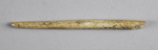 © Michael C. Carlos Museum, Emory University