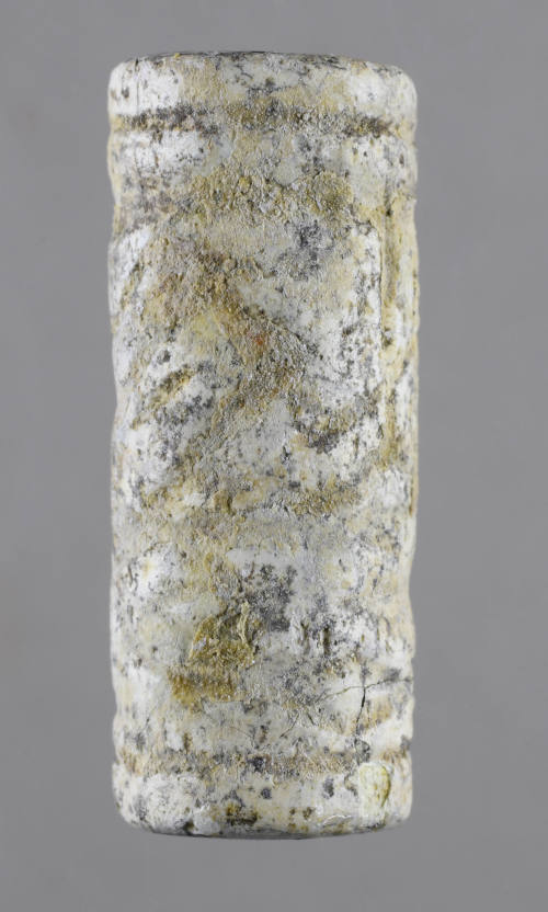 © Michael C. Carlos Museum, Emory University