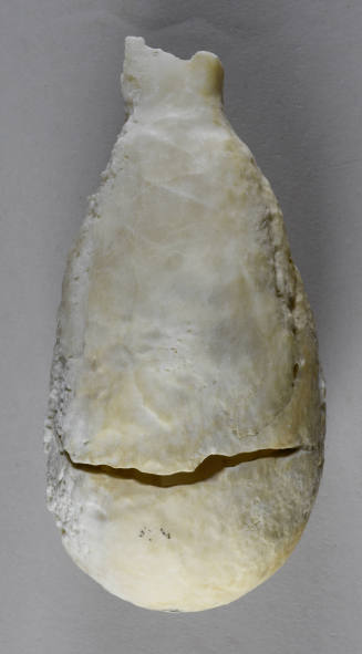 © Michael C. Carlos Museum, Emory University