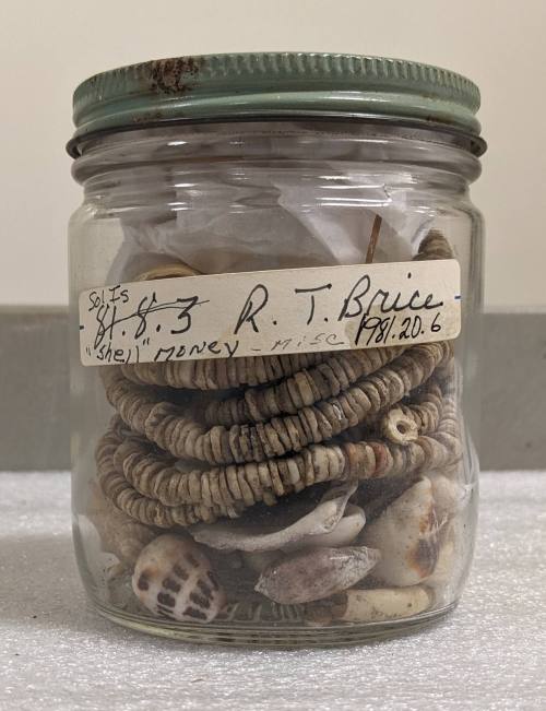© Michael C. Carlos Museum, Emory University