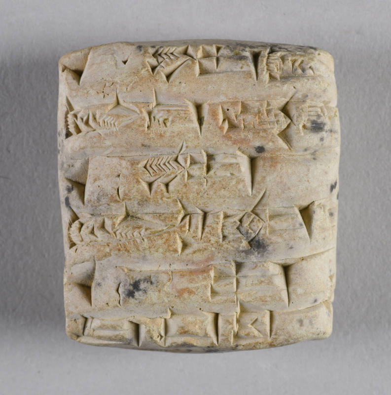 © Michael C. Carlos Museum, Emory University