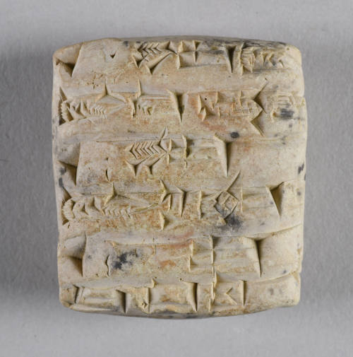 © Michael C. Carlos Museum, Emory University