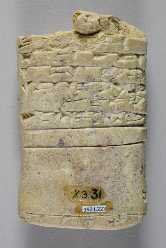 © Michael C. Carlos Museum, Emory University