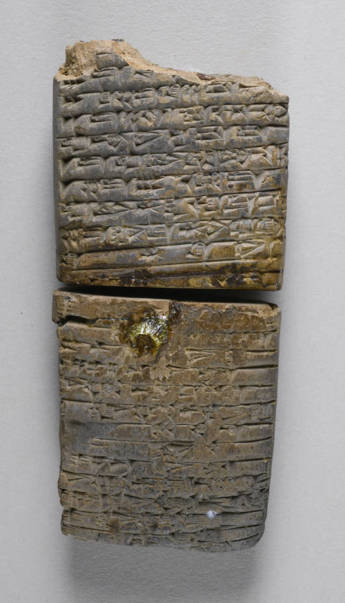 © Michael C. Carlos Museum, Emory University