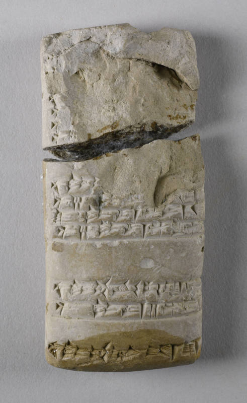 © Michael C. Carlos Museum, Emory University