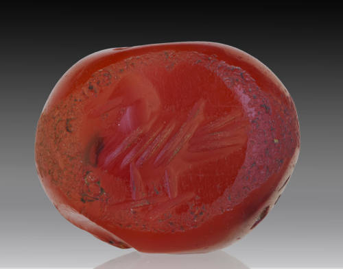 Image courtesy Emory Libraries Digitization.