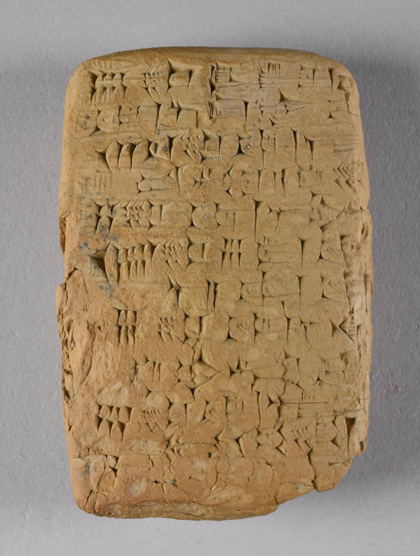 © Michael C. Carlos Museum, Emory University