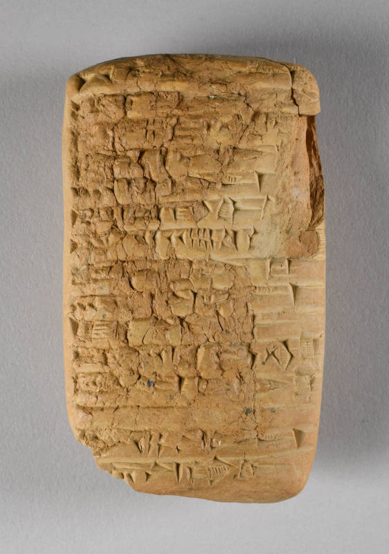 © Michael C. Carlos Museum, Emory University