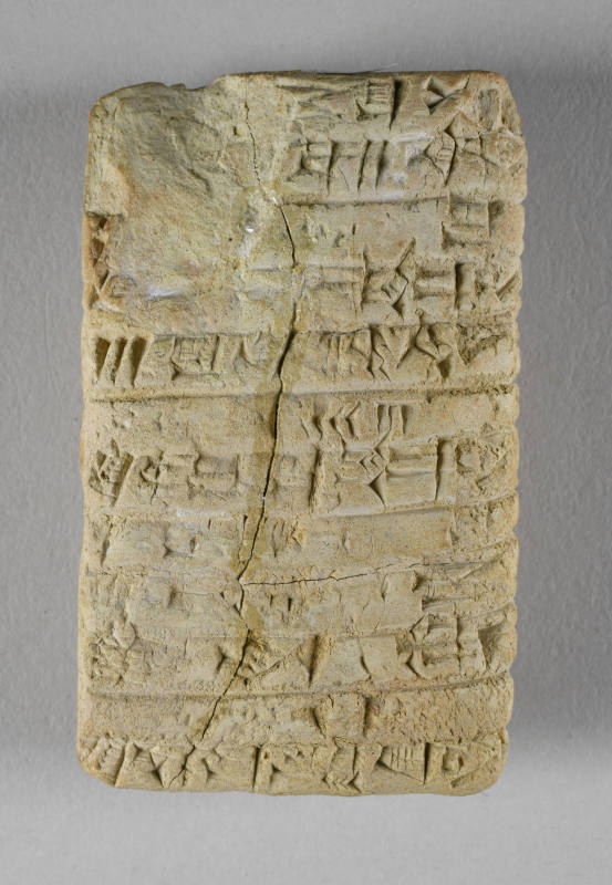 © Michael C. Carlos Museum, Emory University