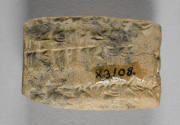 © Michael C. Carlos Museum, Emory University