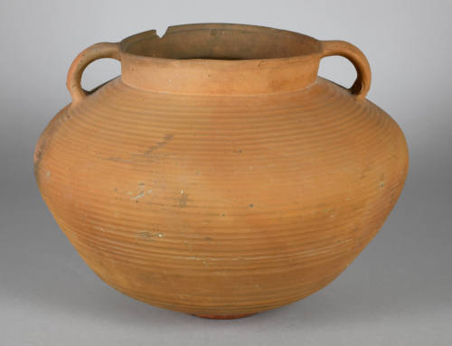 © Michael C. Carlos Museum, Emory University