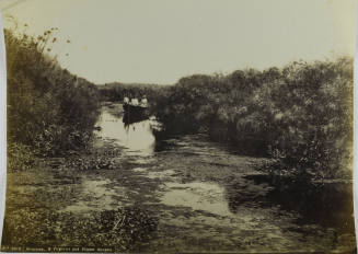 © Michael C. Carlos Museum, Emory University