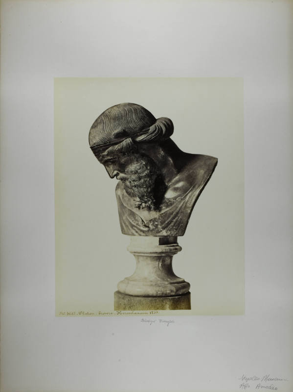 © Michael C. Carlos Museum, Emory University