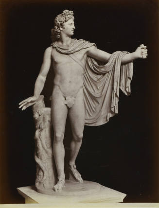 © Michael C. Carlos Museum, Emory University