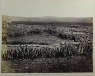 © Michael C. Carlos Museum, Emory University
