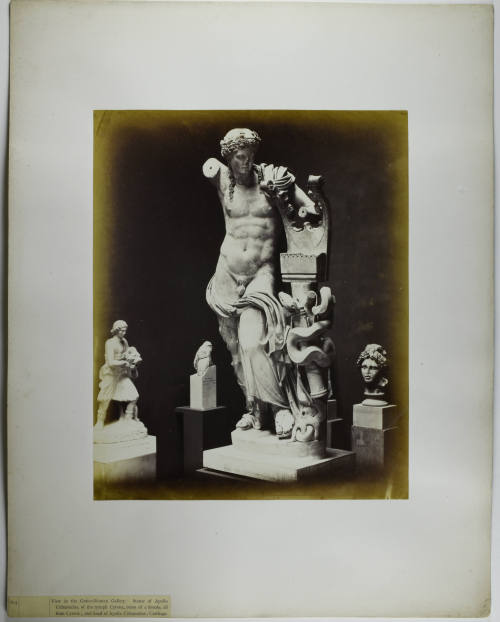 © Michael C. Carlos Museum, Emory University