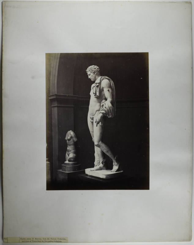 © Michael C. Carlos Museum, Emory University