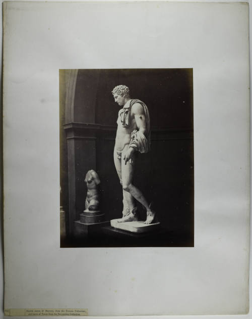 © Michael C. Carlos Museum, Emory University