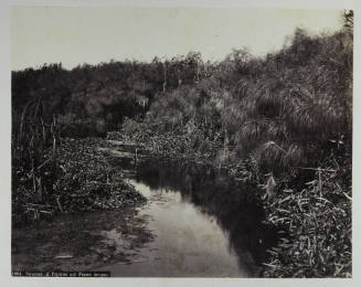 © Michael C. Carlos Museum, Emory University