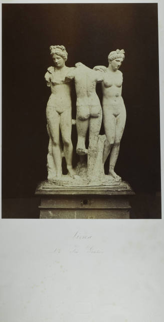 © Michael C. Carlos Museum, Emory University