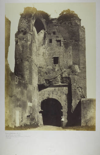 © Michael C. Carlos Museum, Emory University