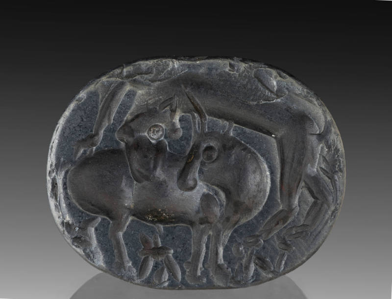 Image courtesy Emory Libraries Digitization.