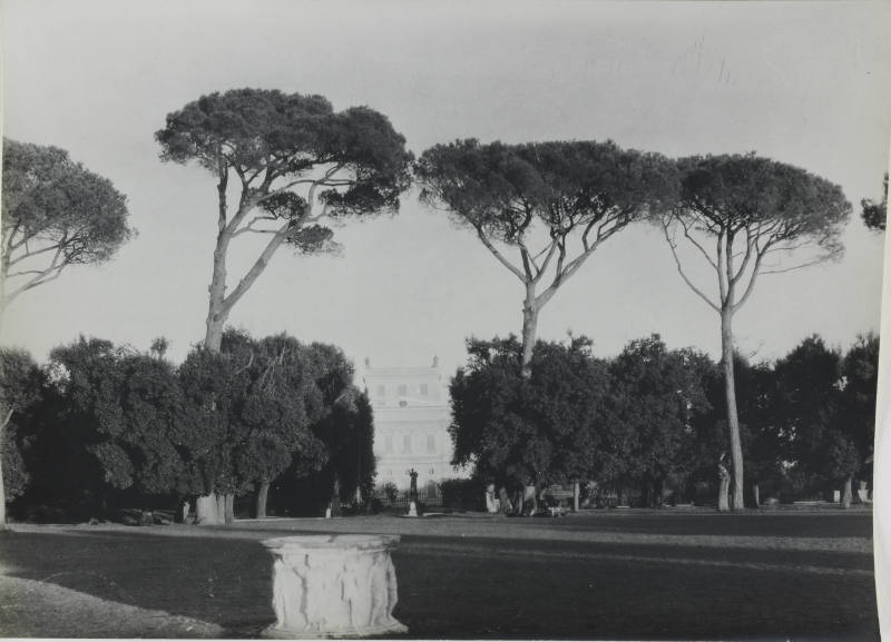 © Michael C. Carlos Museum, Emory University
