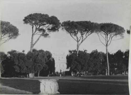 © Michael C. Carlos Museum, Emory University