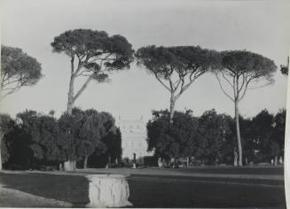 © Michael C. Carlos Museum, Emory University