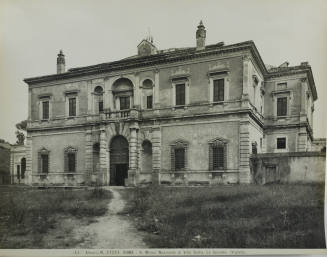 © Michael C. Carlos Museum, Emory University