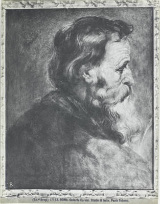 © Michael C. Carlos Museum, Emory University
