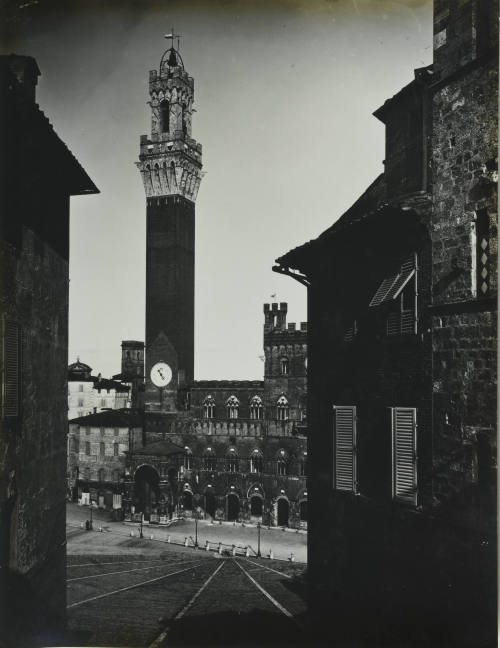 © Michael C. Carlos Museum, Emory University