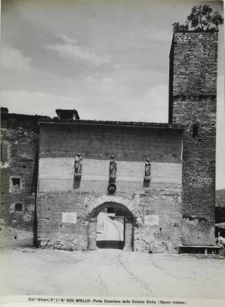 © Michael C. Carlos Museum, Emory University
