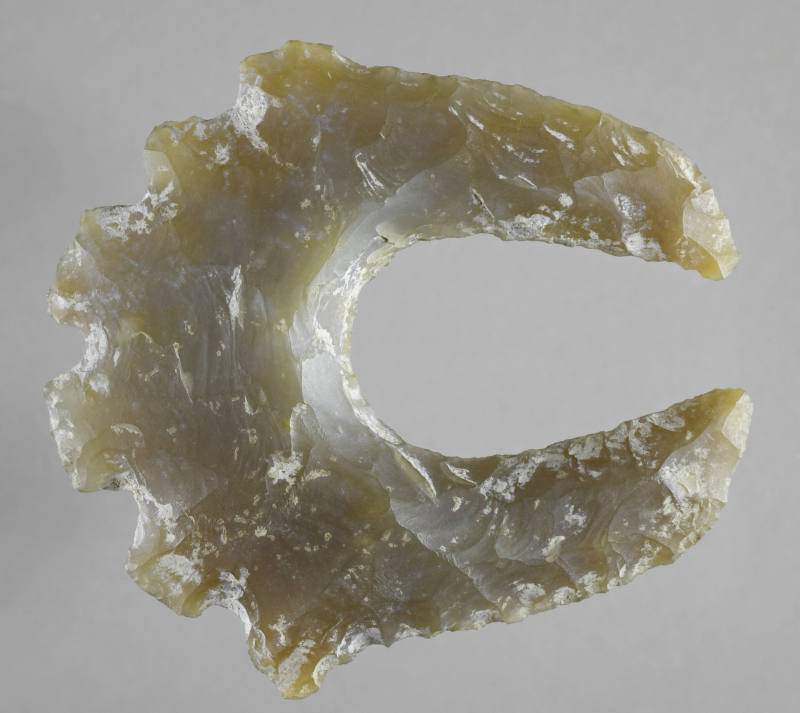 © Michael C. Carlos Museum, Emory University
