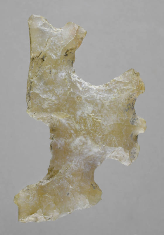 © Michael C. Carlos Museum, Emory University