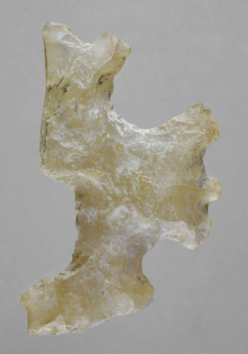© Michael C. Carlos Museum, Emory University