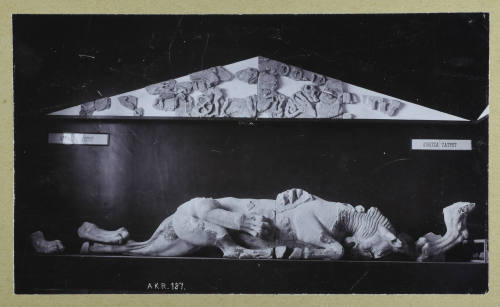 © Michael C. Carlos Museum, Emory University