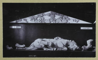 © Michael C. Carlos Museum, Emory University
